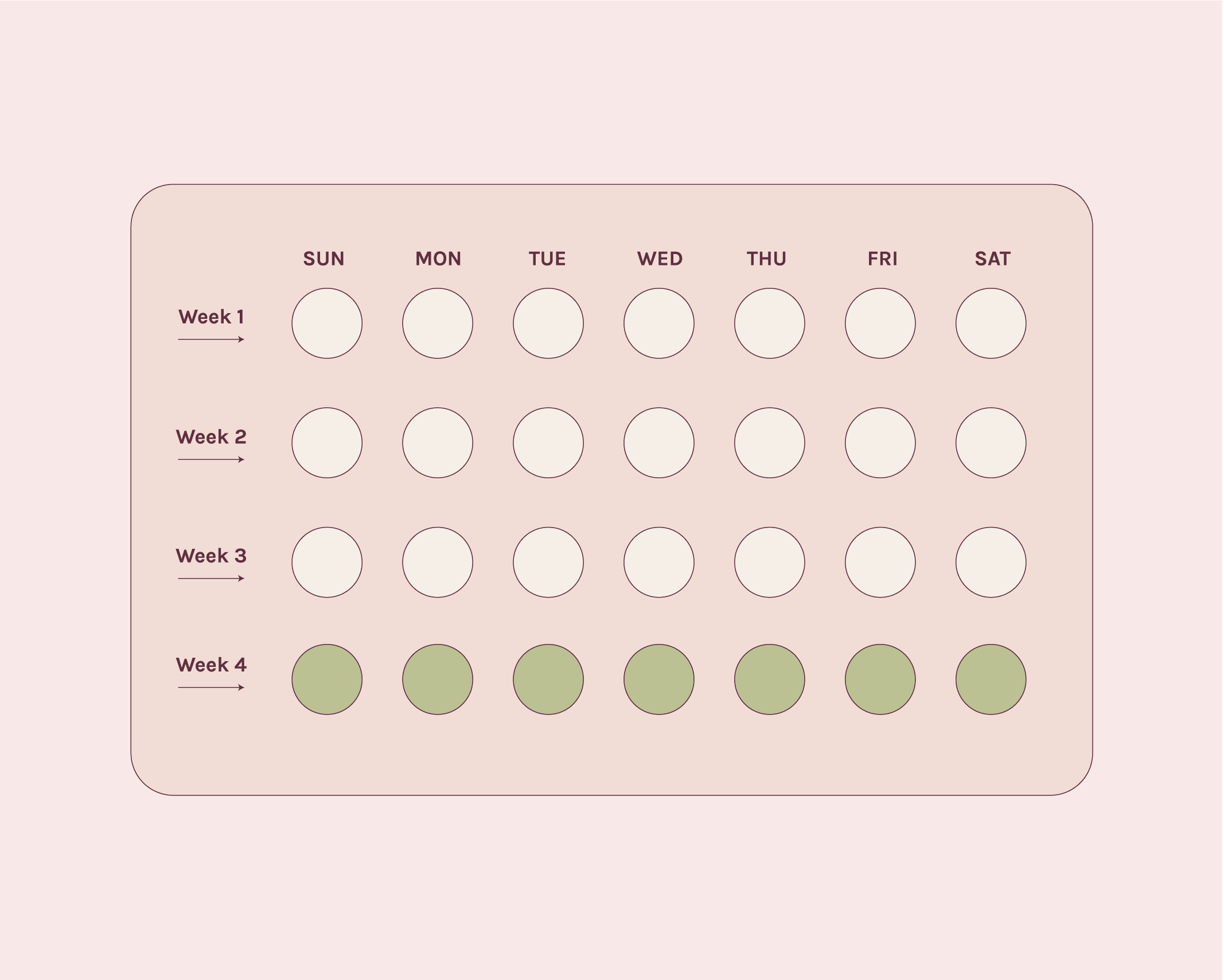 The Birth Control Pill