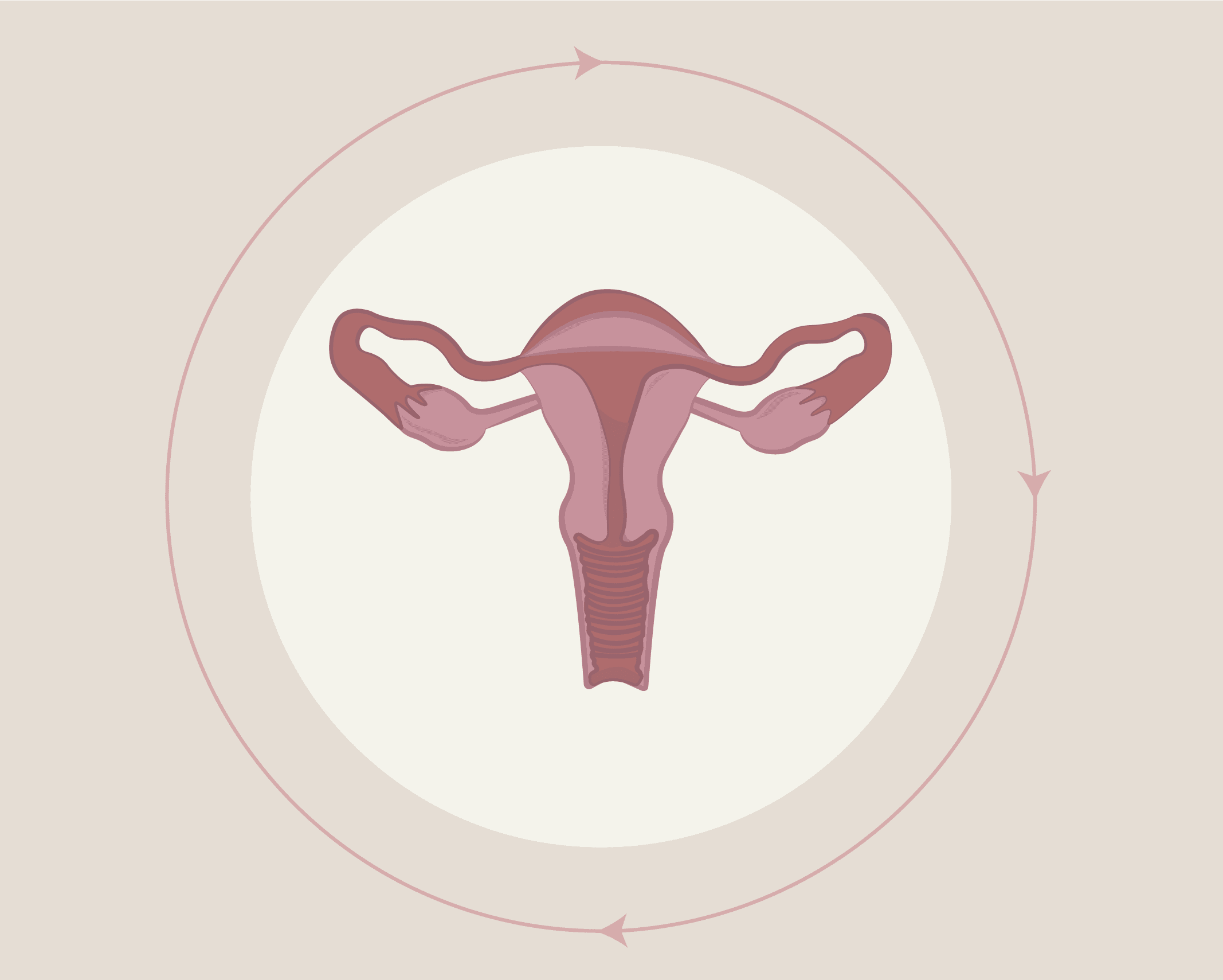 Navigating Your Menstrual Cycle